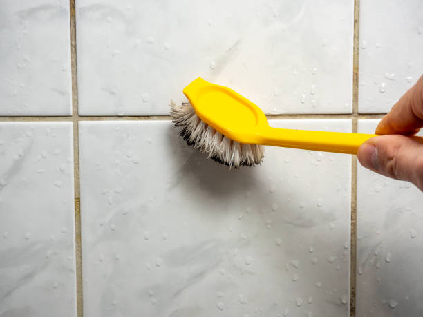 Best Black Mold Remediation in Westmont, PA